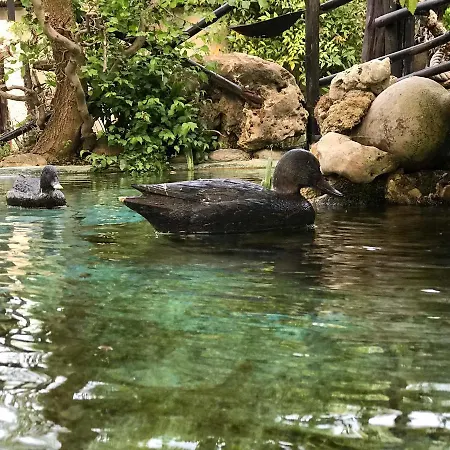 Casa Del Mare Paralía